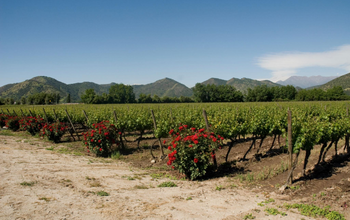 Hillside Color & Wine Country Access via Santiago